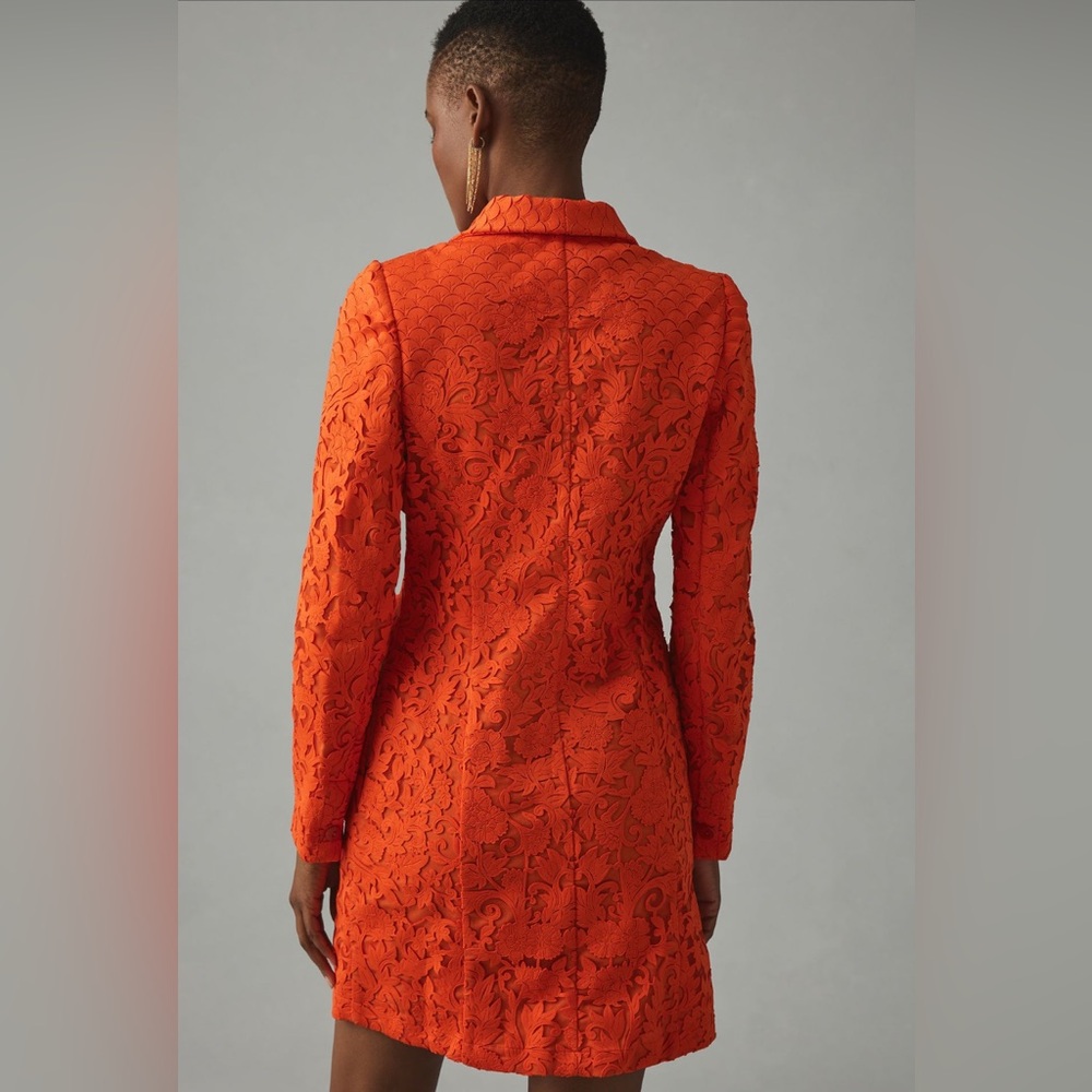 Anthropologie Orange Lace Dress - Picture 4 of 5